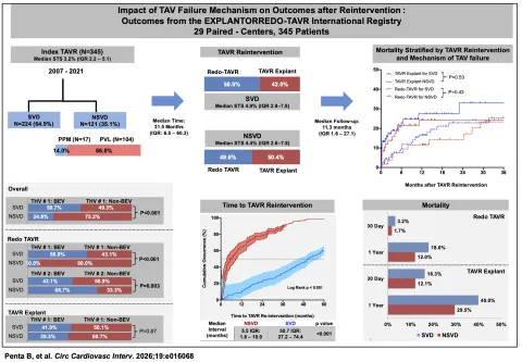 Impact of TAVR Failure Mechanism on Outcomes After Reintervention: From the EXPLANTORREDO-TAVR Registry